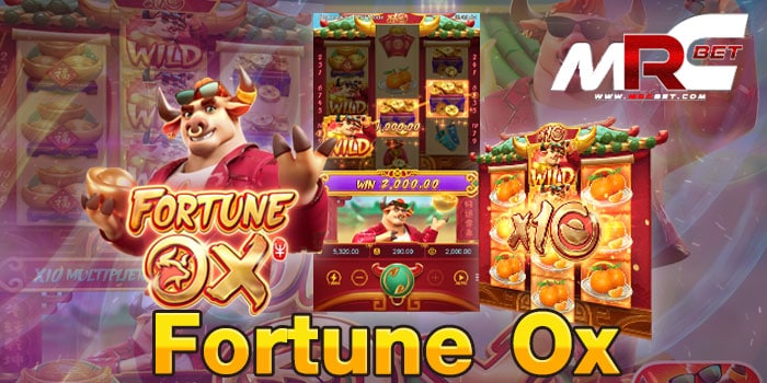 Fortune Ox เป็นเกมสล็อต ในค่าย PG Slot เป็นเกมสล็อตที่ได้ รับความนิยมเป็นอย่างมาก สามารถเล่นได้บนมือถือ เล่นได้ทุกที่ ที่ต้องการ ทำเงินได้ไม่ว่าจะอยู่ที่ไหน สามารถเข้าเล่น บนหน้าเว็บ ไซต์เราได้เลย ไม่ต้องโหลดแอพก็เล่นได้ Fortune Ox